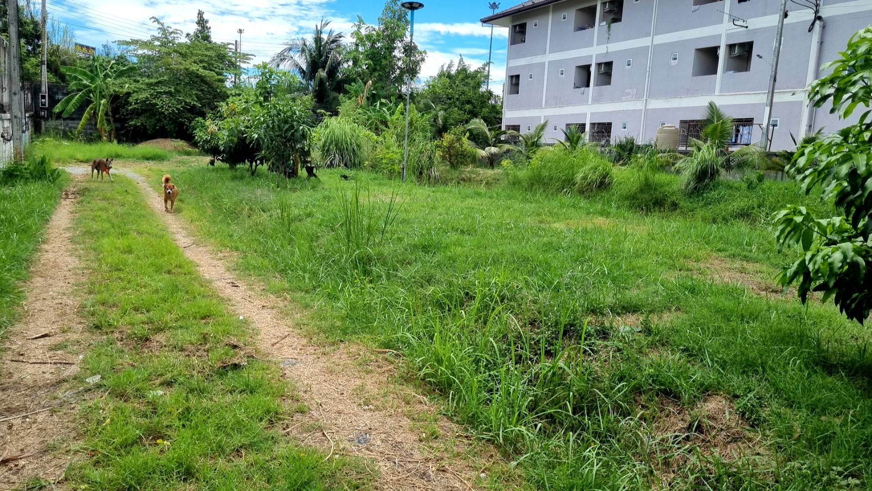 Land for Sale in Soi Siam Country Club, Pattaya